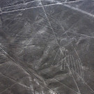 a7812b742e0240108c9b168dc04ffec2-a7812b742e0240108c9b168dc04ffec2-0.jpg