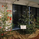 Vorarlberger Christbaumausstellung in Rankweil