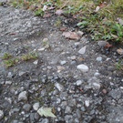 IMG_1964.JPG