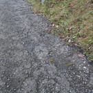 IMG_1965.JPG