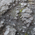 IMG_1969.JPG