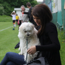 FC Maeder - Vikt_ Bregenz  010 267_jpg-1273427281