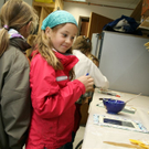 IMG_8940_JPG-1273431030