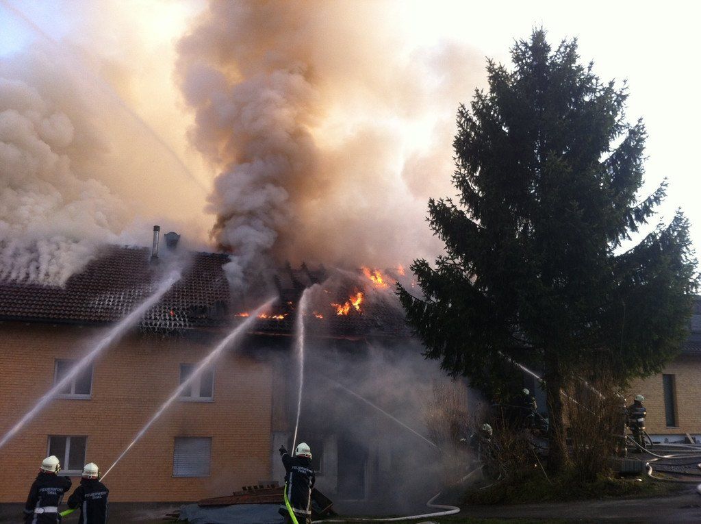 langen3.jpg