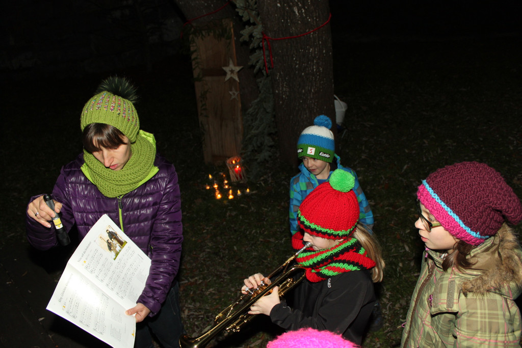 Adventsingen 2014 _51_.jpg