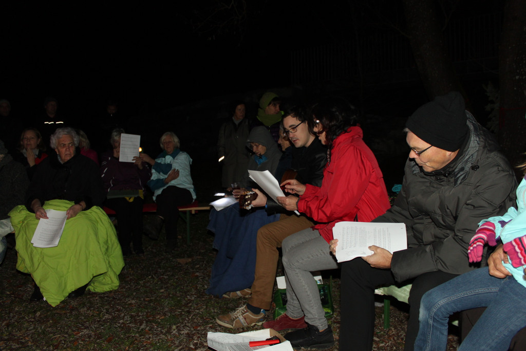 Adventsingen 2014 _55_.jpg