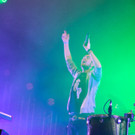 13909695.jpg