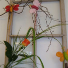 DSC01037.JPG
