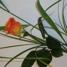 DSC01038.JPG