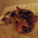IMGP0484.JPG
