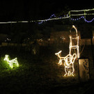 IMG_1575.JPG