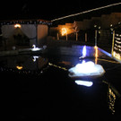 IMG_1579.JPG
