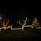 IMG_1591.JPG