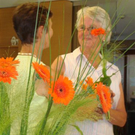 DSC01060.JPG