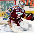 Martin Altrichter.jpg