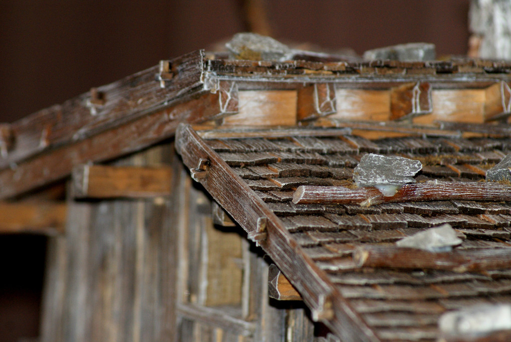 DSC07690.JPG