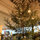 IMG_7800.JPG