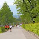 KOE___lpelelauf 40_jpg-1273437865
