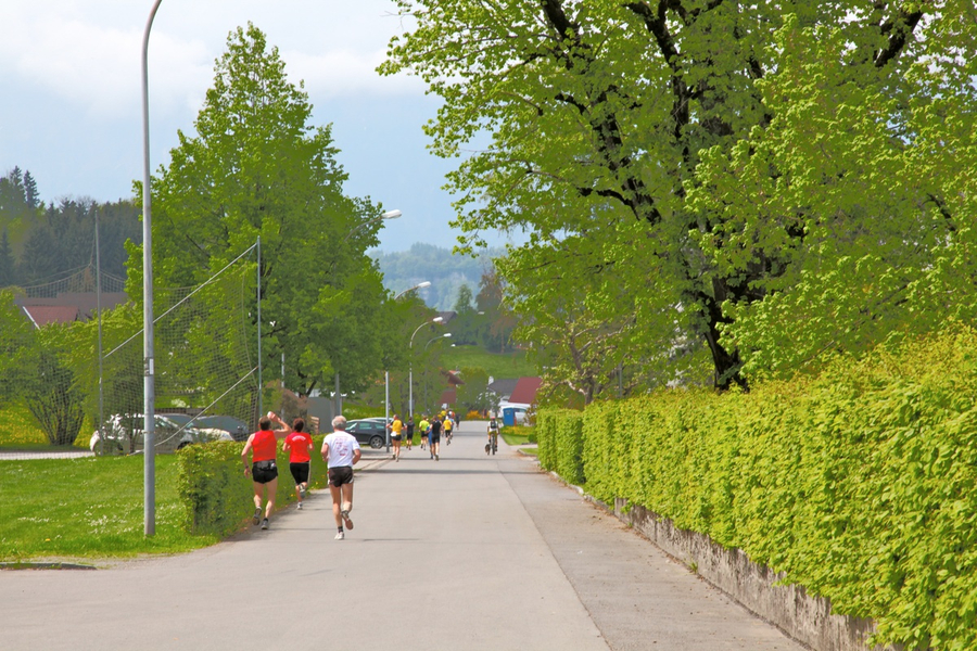KOE___lpelelauf 40_jpg-1273437865