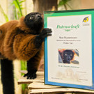 PA_Patenschaft_Roter Vari.jpg