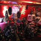 IMG_1813A.jpg