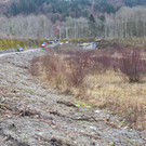 2014-12-04_Auenlatschbach_024.jpg