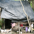 Dach3c_jpg-1273443582