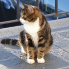 frieda3.jpg