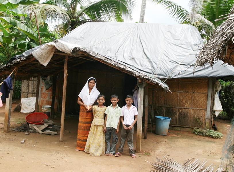 Dach3h_jpg-1273443761