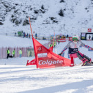 Weltcup-9_jpg-1419006455.jpg