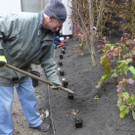 Beck25.jpg
