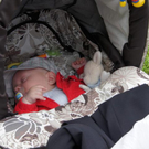 DSC00361.JPG