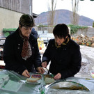 ogv20141218031265_1_.jpg