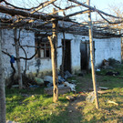 IMG_6456.JPG