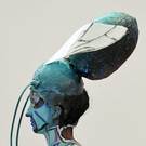 DAB1588-20120428.jpg