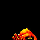 ABD0001-20110630.jpg