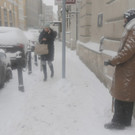 IBD0214-20141225.jpg