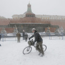 IBD0216-20141225.jpg