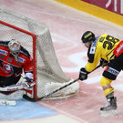 EXPA-THA-141226-0593.jpg