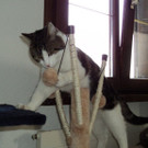 DSC00169.JPG