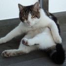 DSC00033.JPG
