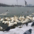 WP_20140127_14_04_51_Pro.jpg
