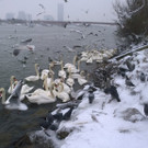 WP_20141228_12_52_22_Pro.jpg