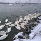 WP_20141228_12_54_16_Pro.jpg