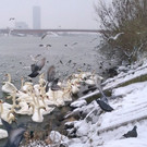 WP_20141228_12_55_07_Pro.jpg
