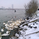 WP_20141228_12_55_18_Pro.jpg