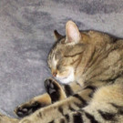 IMG-20120515-WA0000.jpg