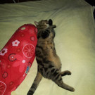 20130929_183652.jpg