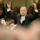 Das Wiener Neujahrskonzert 2015