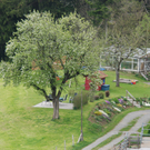 DSC_1461.JPG